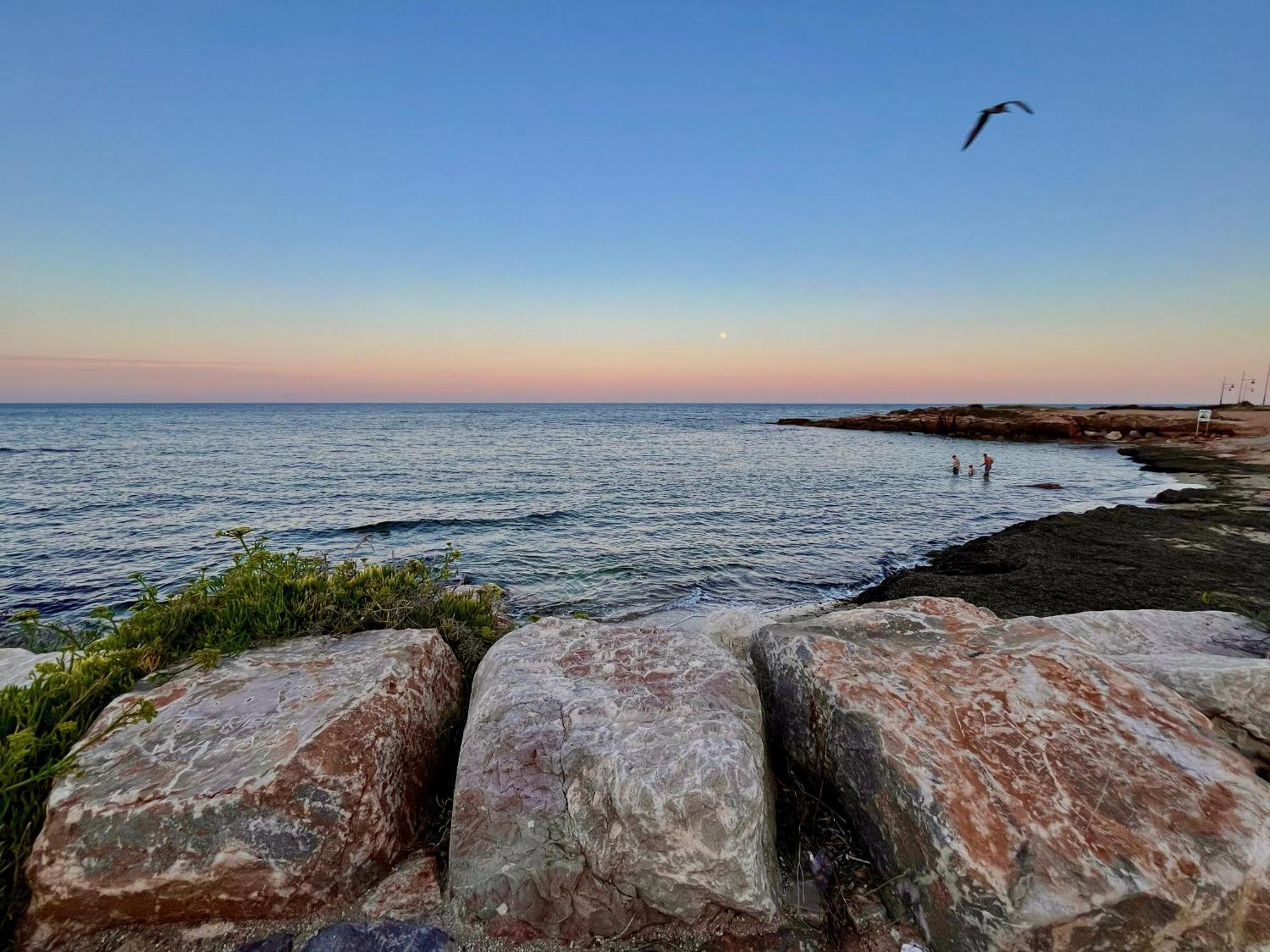 Sea View Apartment Beach Front Punta Prima Torrevieja Exterior foto